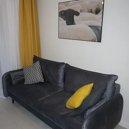 Czarne Owce Apartment